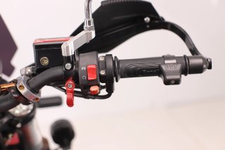 BENELLI LEONCINO 500 2024