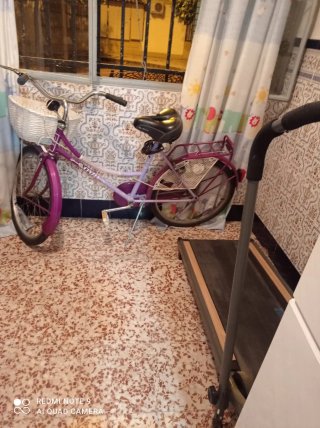 Bicicleta Morada con Cesta