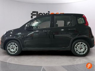 Fiat Panda Panda Hybrid 1.0 51kw (70CV)
