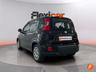 Fiat Panda Panda Hybrid 1.0 51kw (70CV)