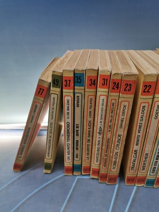 19 libros, Biblioteca básica salvat, completistas