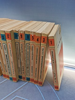 19 libros, Biblioteca básica salvat, completistas