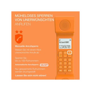 Alcatel Epure Iconic teléfono inalámbrico