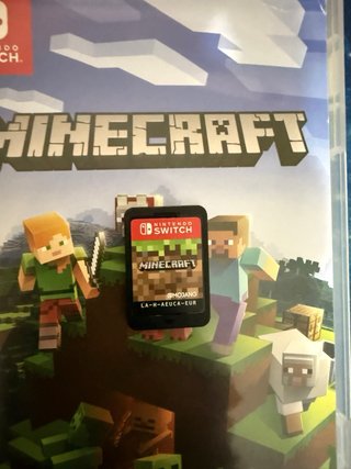 Minecraft Nintendo Switch