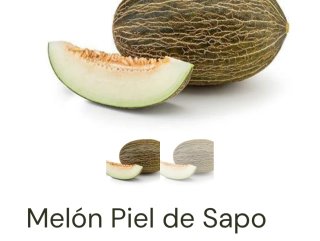 Semillas de melón piel de sapo