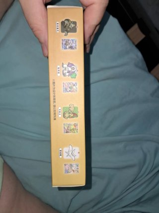 Pokemon Card Display Box Eevee