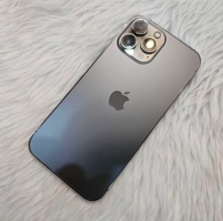 iPhone 13 Pro Max 256GB Gris/Plata
