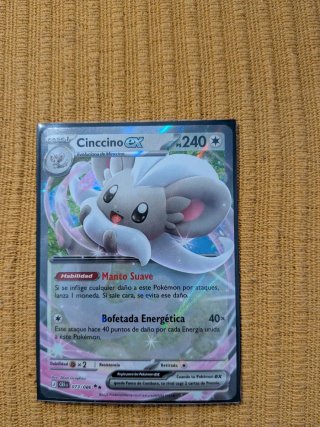 Lote Cartas TCG Pokémon