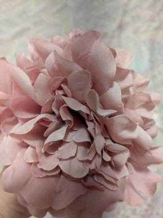 Flor flamenca rosa empolvado