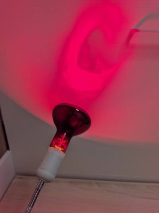 Lámpara Infrarrojos 150w