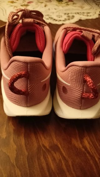 Zapatillas Nike Pegasus Trail 5 Mujer Rosa