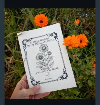 Libros herbalismo y plantas medicinales