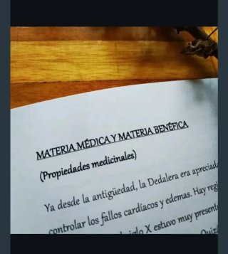 Libros herbalismo y plantas medicinales