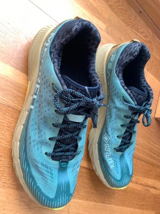 Zapatillas Trail Merrell Agility Peak 5 GTX T44