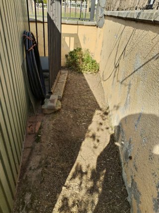 Desbroce  y podas,etc