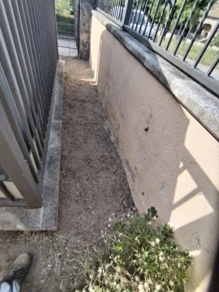 Desbroce  y podas,etc