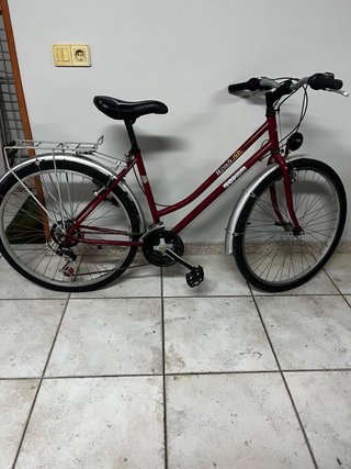 Bicicleta Paseo Mediana cadete 24”Wendy Fox