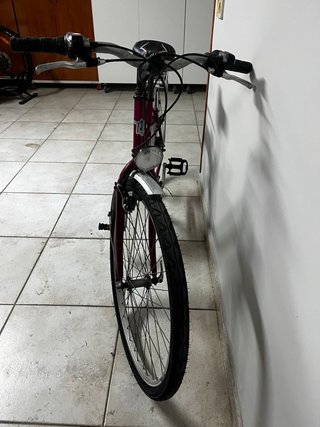 Bicicleta Paseo Mediana cadete 24”Wendy Fox