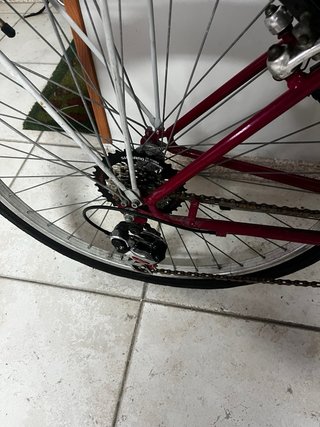 Bicicleta Paseo Mediana cadete 24”Wendy Fox