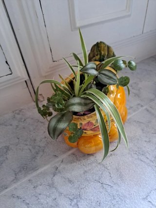 Maceta gallina decorativa
