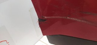 PARAGOLPES DELANTERO SEAT LEON (1M1) Last Edition