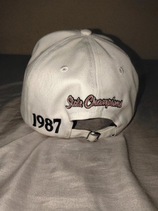 Gorra Hawkins Tigers 1987