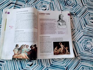 Libro di letteratura francese liceo linguistico