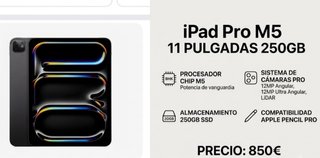 iPad Pro M5 11 250GB Gris Espacial