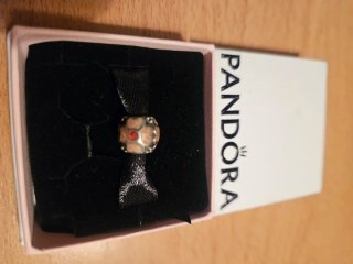 Charm Pandora