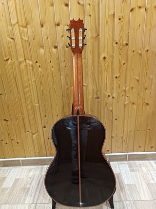 Guitarra Ricardo Sanchís RSC