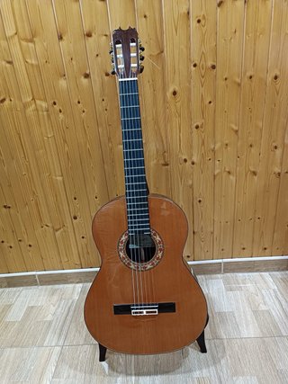 Guitarra Ricardo Sanchís RSC