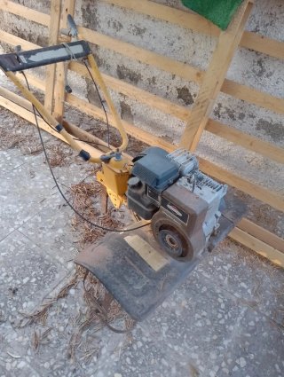 Motoazada motor Briggs & Stratton