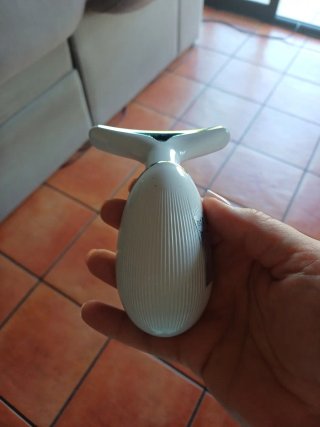 Masajeador facial plateado y blanco nuevo