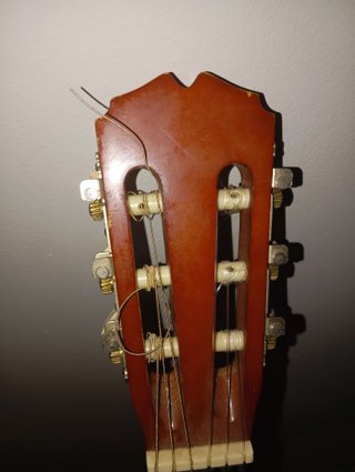 Guitarra Sonora SGN 450