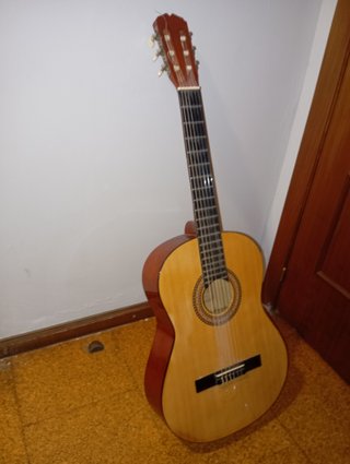 Guitarra Sonora SGN 450