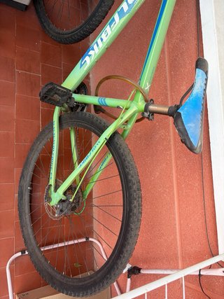 Bicicleta WOLFBIKE verde