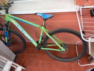 Bicicleta WOLFBIKE verde