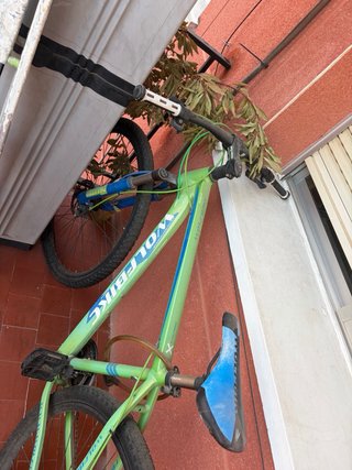 Bicicleta WOLFBIKE verde
