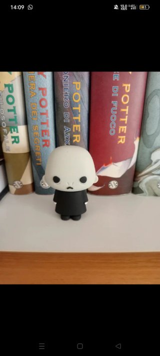 Harry Potter