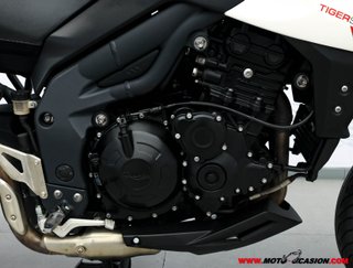 TRIUMPH TIGER 1050 SPORT