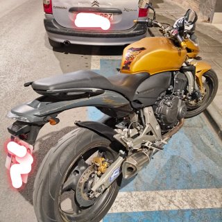 Honda CBF600 Hornet Dorada