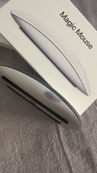 Apple Magic Mouse Plata