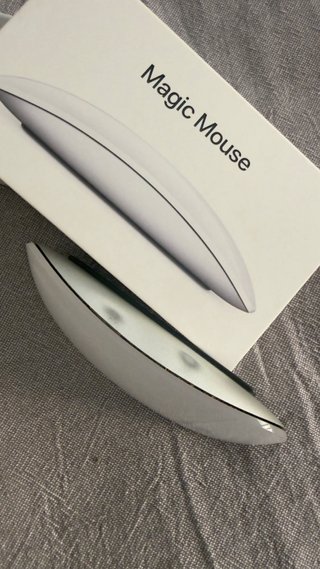 Apple Magic Mouse Plata