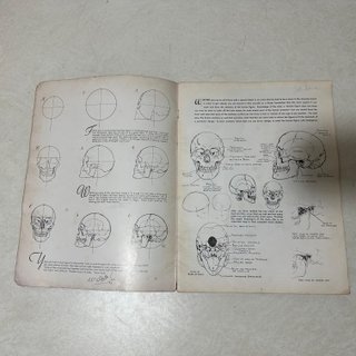 Anatomy vintage americana