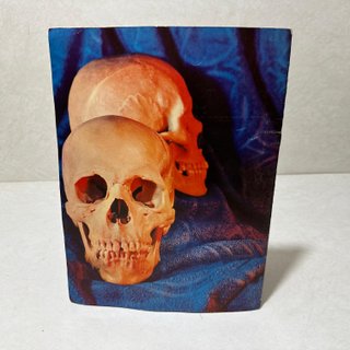 Anatomy vintage americana