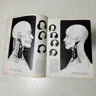 Anatomy vintage americana