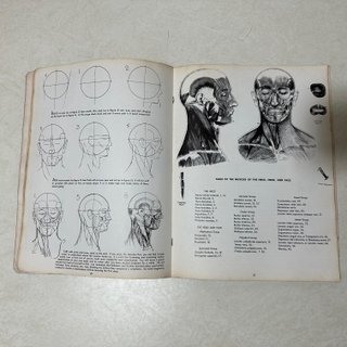 Anatomy vintage americana