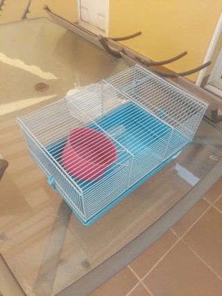 Jaula hamster