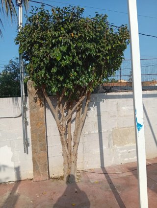Servicios de Mantenimiento y Reformas