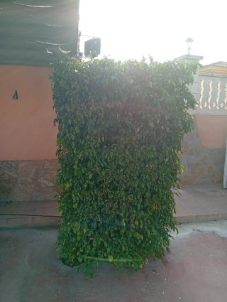Servicios de Mantenimiento y Reformas